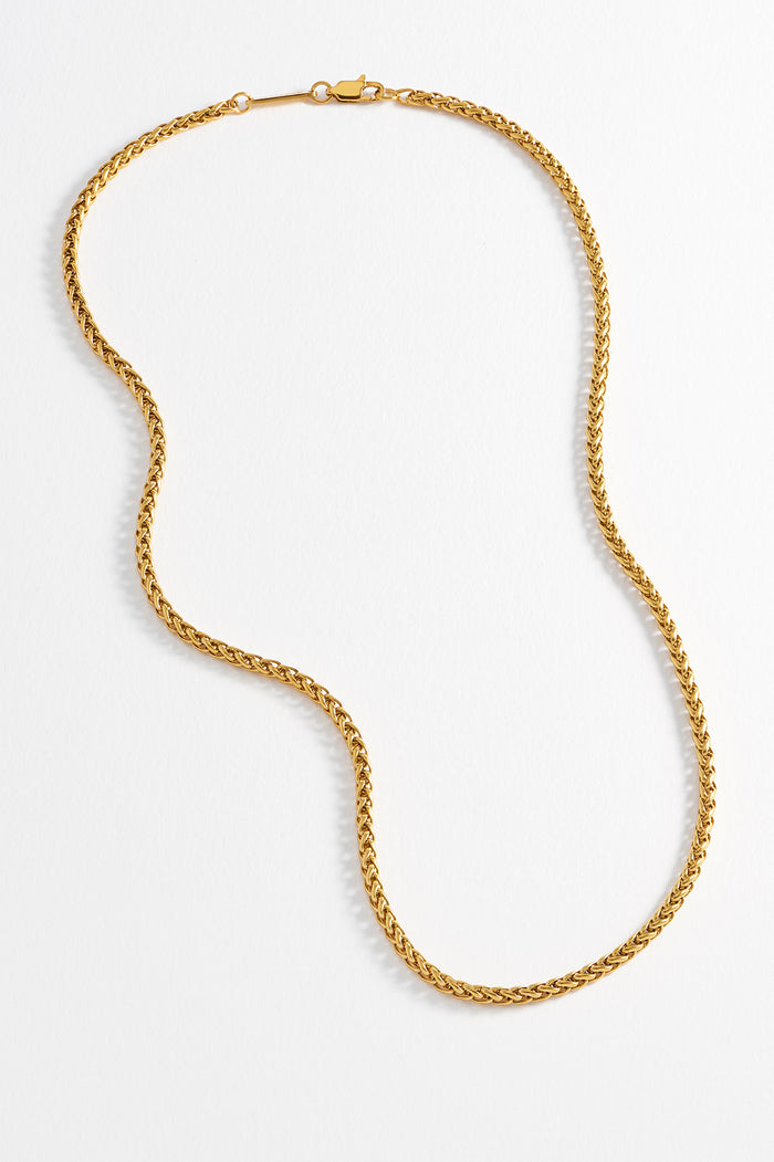 estella bartlett Men's Spiga Chain Necklace Waterproof PVD Gold Plated