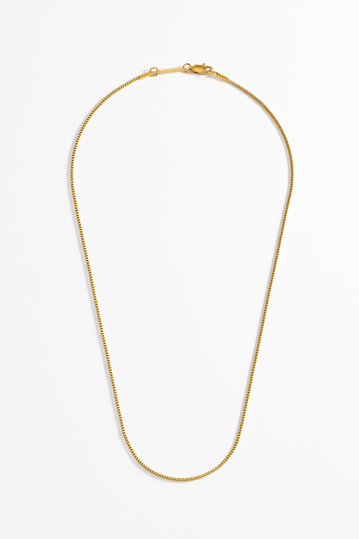 Estella Bartlett Men's Thin Box Chain Necklace Waterproof PVD Gold Plated