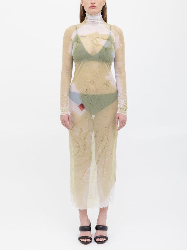 ester manas Mesh Print Long Dress