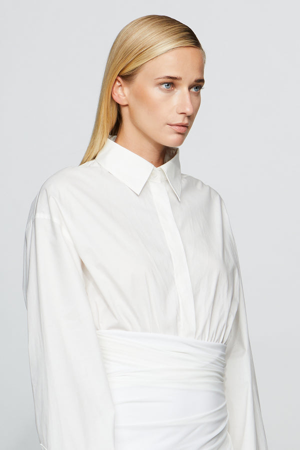 Et Ochs Hadley Shirt Dress