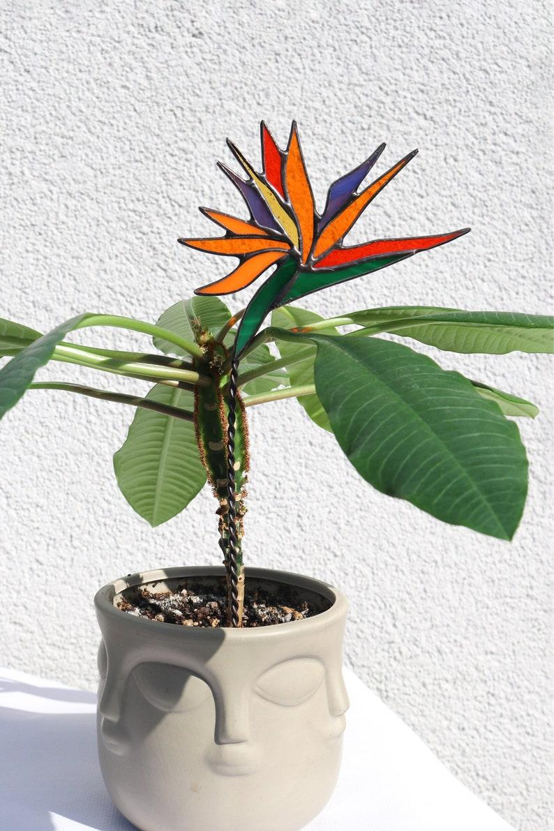 Etsy Plant Stake Strelitzia Garden Decor Stained Glass Suncatcher Flowers Gifts For Plant Lovers Exotic Plants Gifts For Gardeners Mother's Day
