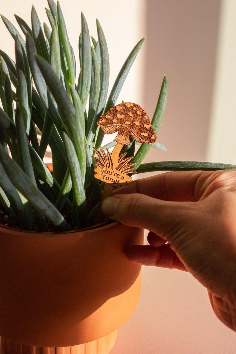 Etsy You're A Fungi Mushroom Wood Plant Pick [Valentine's Day Gift For Him Plant Dad Gift For Husband Plant Lovers Boyfriend Housewarming]