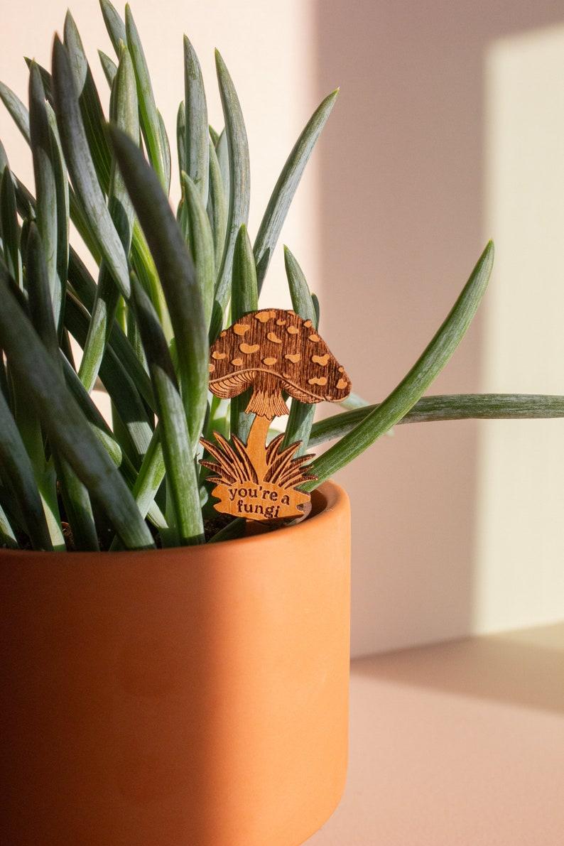 Etsy You're A Fungi Mushroom Wood Plant Pick [Valentine's Day Gift For Him Plant Dad Gift For Husband Plant Lovers Boyfriend Housewarming]
