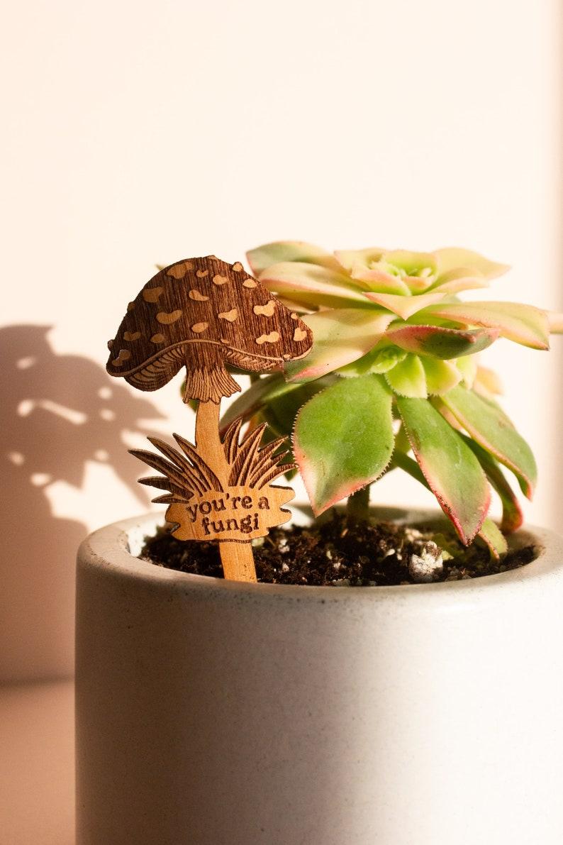 Etsy You're A Fungi Mushroom Wood Plant Pick [Valentine's Day Gift For Him Plant Dad Gift For Husband Plant Lovers Boyfriend Housewarming]