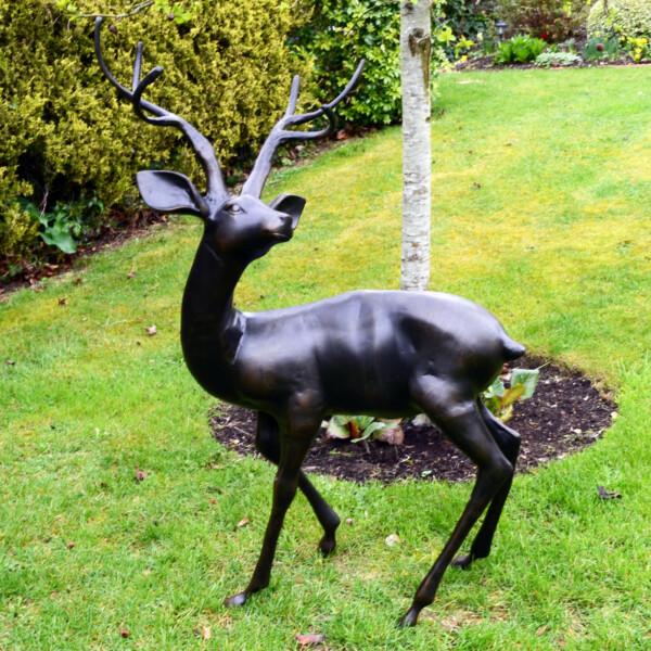 europa leisure Large Stag