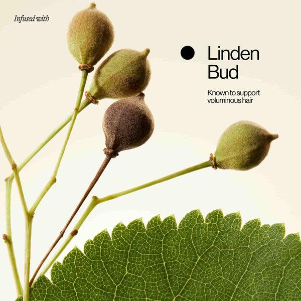 Eva Eva NYC Lift Off Volume Collection