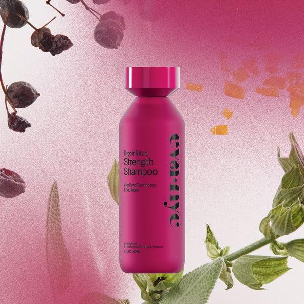 eva Eva NYC Repair Ritual Strength Shampoo
