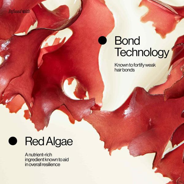 Eva Eva NYC Repair Ritual Strength Wash Duo