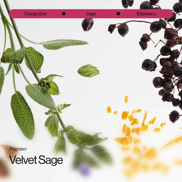 Eva Repair Ritual Strength Starter Set – Eva NYC