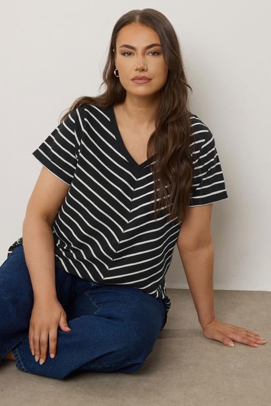 evans EVANS Curve Black Stripe Premium Cotton T-Shirt