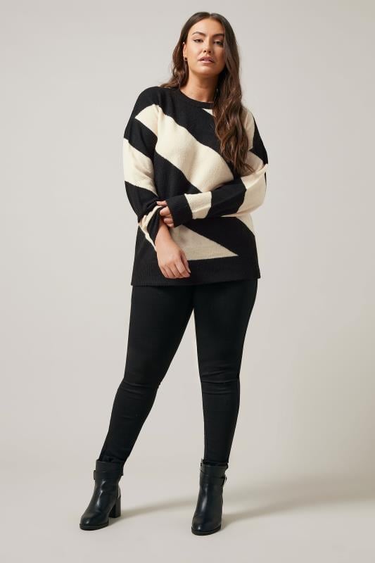 Evans EVANS Curve Black & White Diagonal Stripe Knitted Jumper