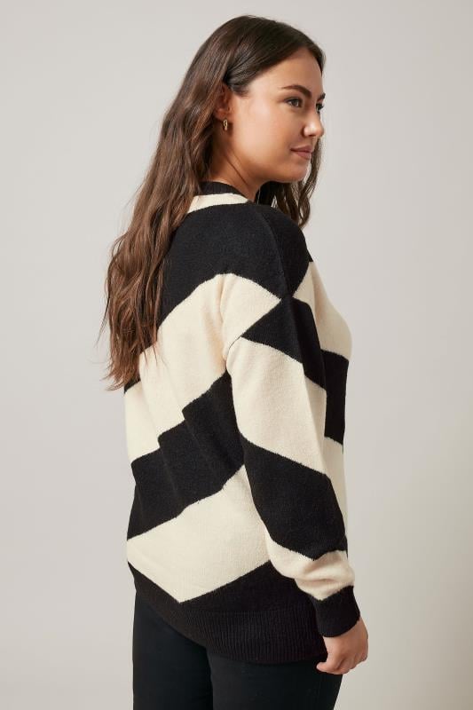 Evans EVANS Curve Black & White Diagonal Stripe Knitted Jumper