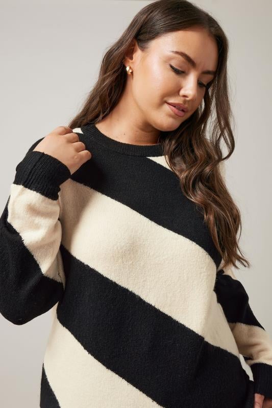 Evans EVANS Curve Black & White Diagonal Stripe Knitted Jumper