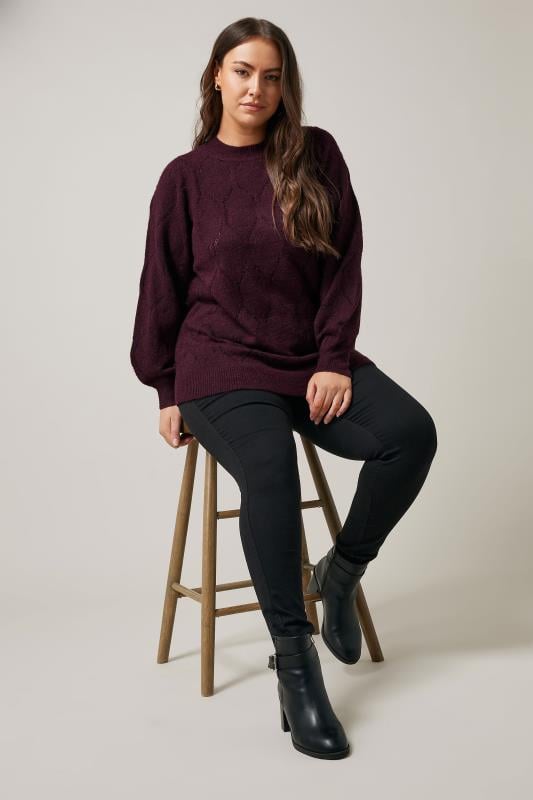 Evans EVANS Curve Burgundy Red Pointelle Knitted Jumper