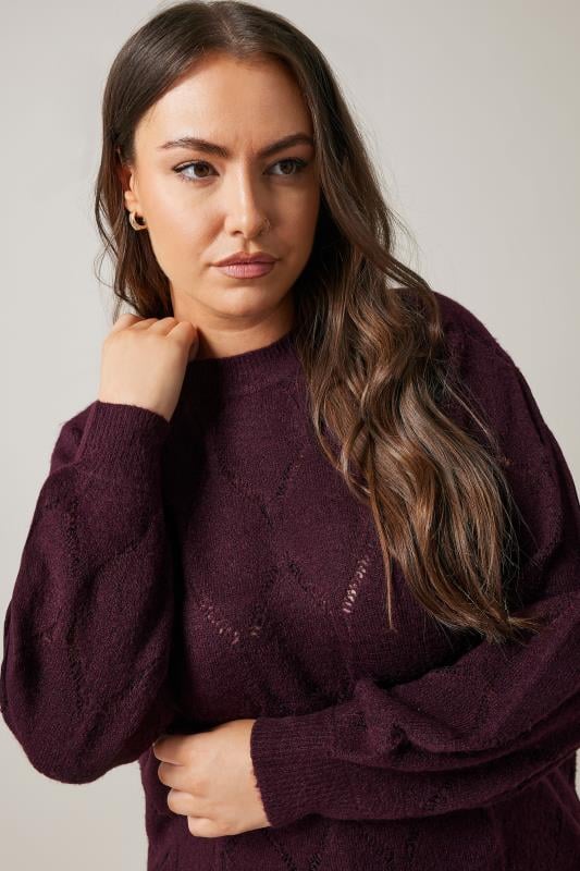 Evans EVANS Curve Burgundy Red Pointelle Knitted Jumper