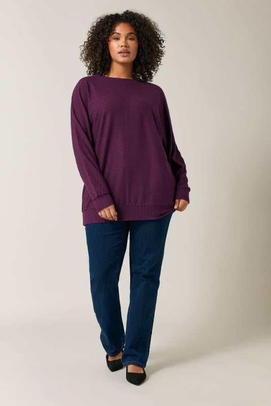 Evans EVANS Curve Burgundy Red Ribbed Soft Touch Jumper