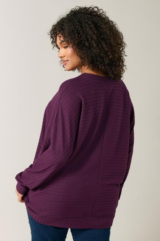 Evans EVANS Curve Burgundy Red Ribbed Soft Touch Jumper