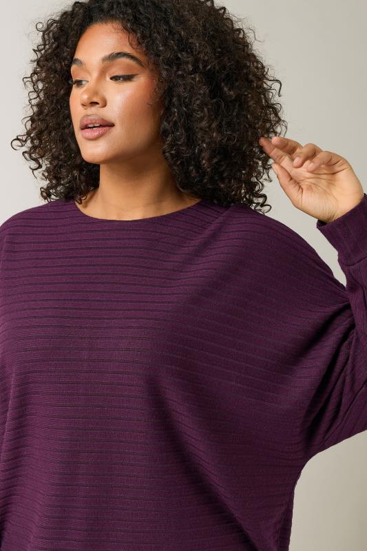 Evans EVANS Curve Burgundy Red Ribbed Soft Touch Jumper