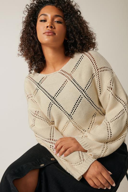 Evans EVANS Curve Ivory White Diamond Pointelle Jumper