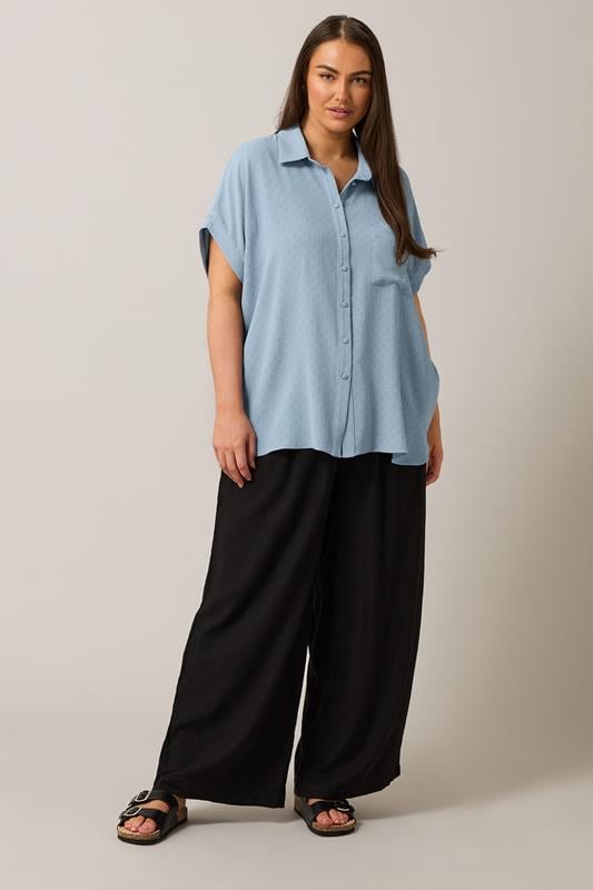 Evans EVANS Curve Light Blue Grown On Sleeve Blouse