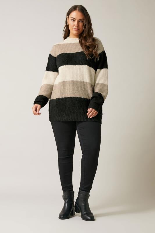 Evans EVANS Curve Natural Brown Colourblock Stripe Knitted Jumper