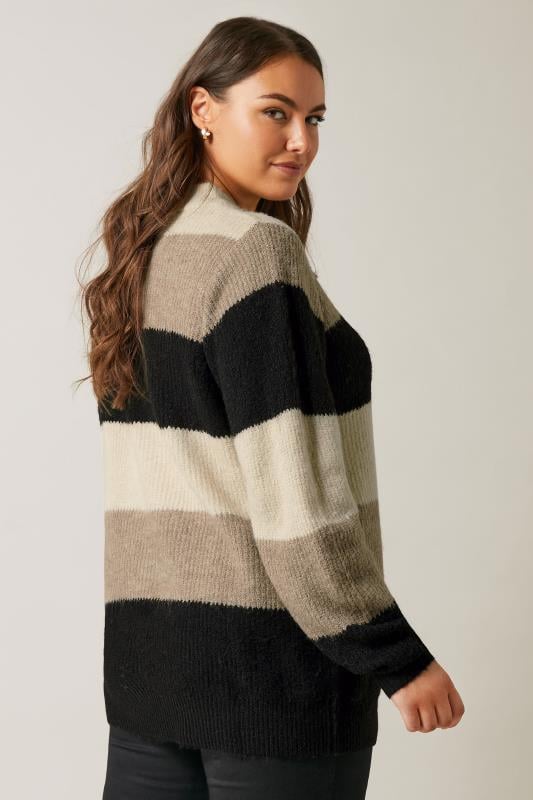 Evans EVANS Curve Natural Brown Colourblock Stripe Knitted Jumper