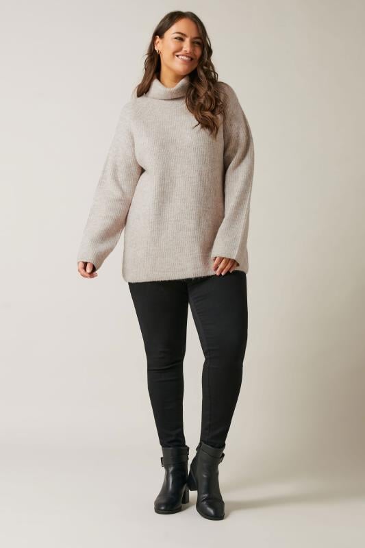 Evans EVANS Curve Natural Brown Roll Neck Knitted Jumper