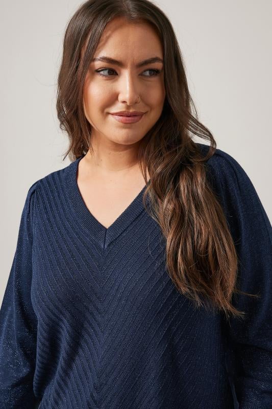 Evans EVANS Curve Navy Blue Metallic Knitted Jumper
