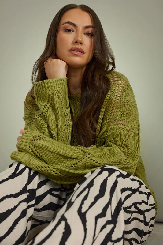 evans EVANS Curve Olive Green Diamond Pointelle Jumper