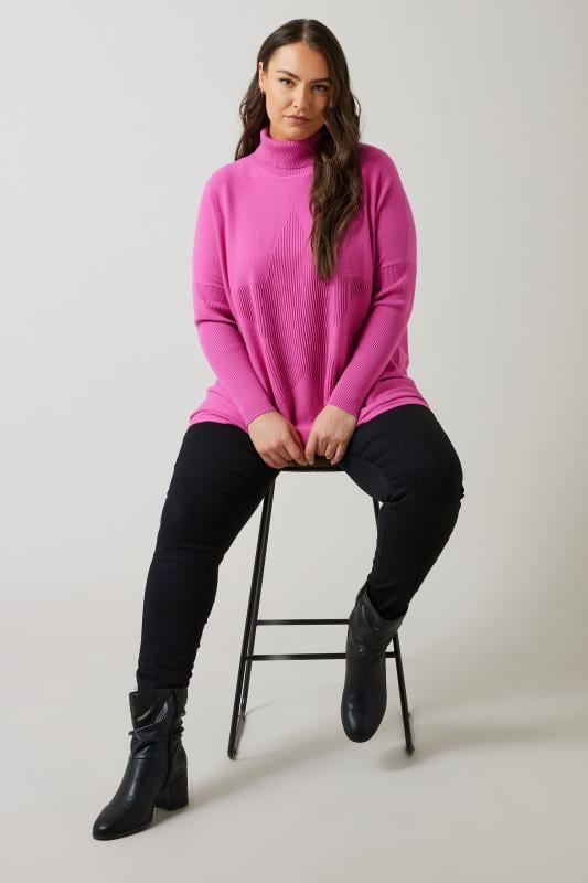 Evans EVANS Curve Pink Knitted Star Roll Neck Jumper