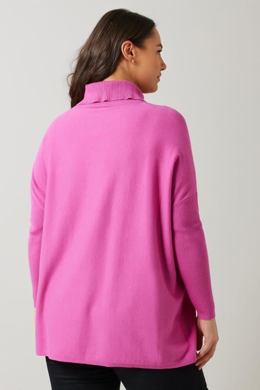 Evans EVANS Curve Pink Knitted Star Roll Neck Jumper