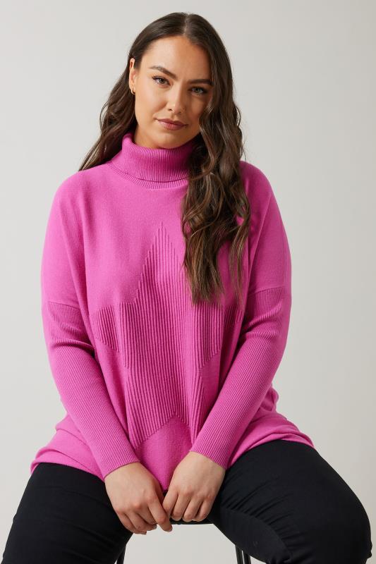 Evans EVANS Curve Pink Knitted Star Roll Neck Jumper