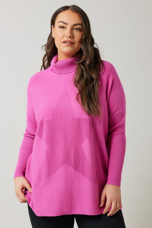 evans EVANS Curve Pink Knitted Star Roll Neck Jumper