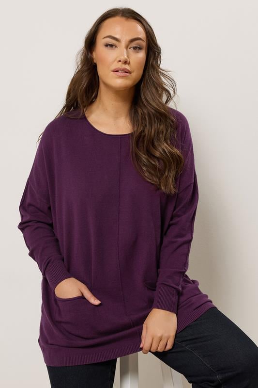 Evans EVANS Curve Purple Soft Touch Front Seam Jumper