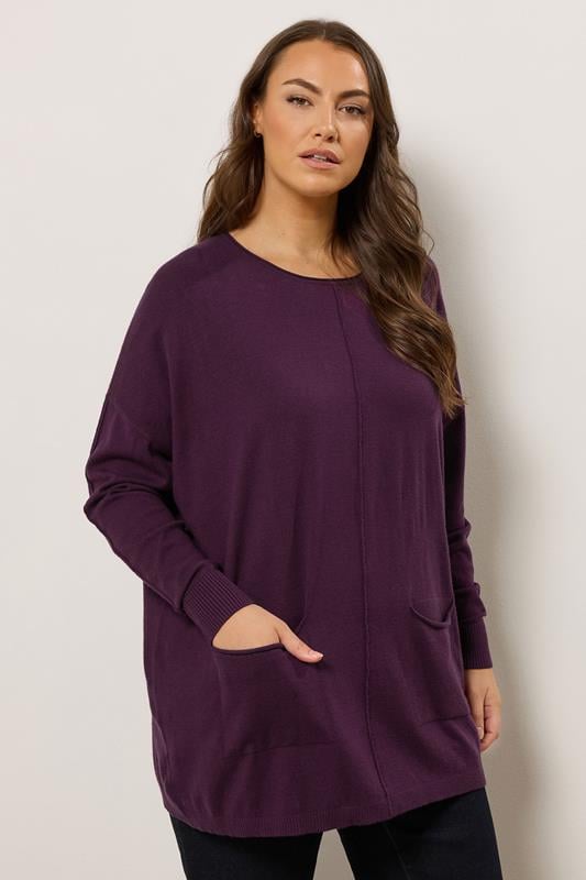Evans EVANS Curve Purple Soft Touch Front Seam Jumper