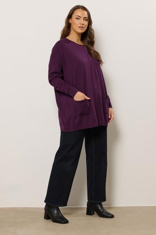 Evans EVANS Curve Purple Soft Touch Front Seam Jumper