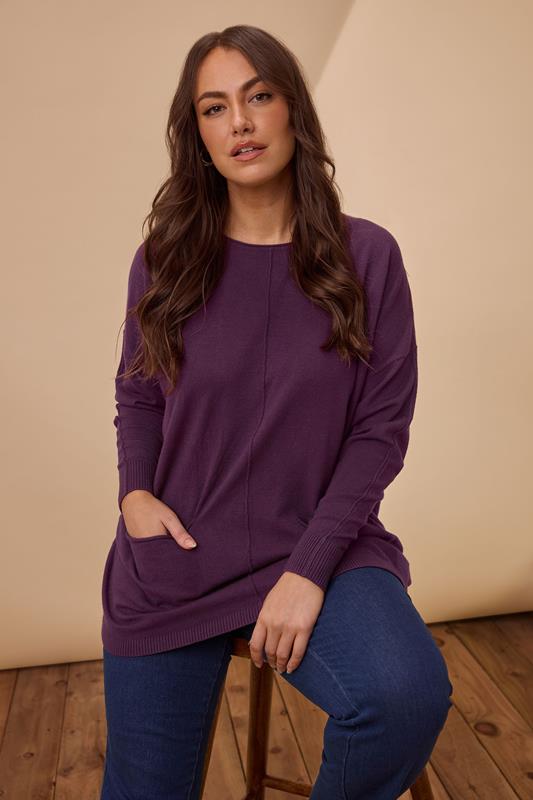 evans EVANS Curve Purple Soft Touch Front Seam Jumper