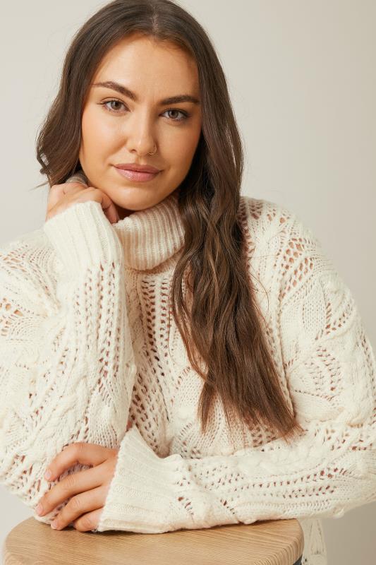 Evans EVANS Curve White Roll Neck Stitch Detailing Knitted Jumper
