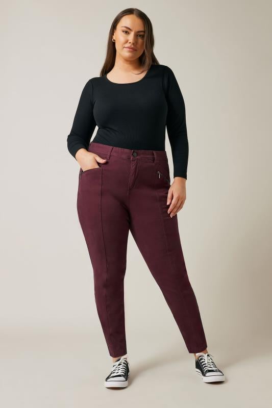 Evans Evans Burgundy Pintuck Skinny Jeans