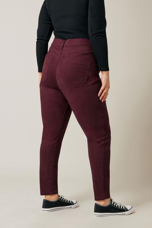 Evans Evans Burgundy Pintuck Skinny Jeans