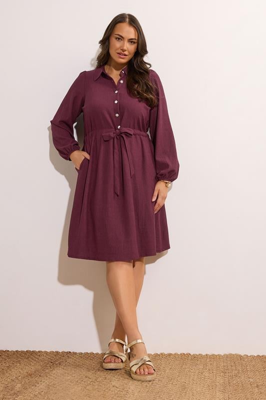 Evans EVANS Curve Burgundy Red Belted Shirt Dress