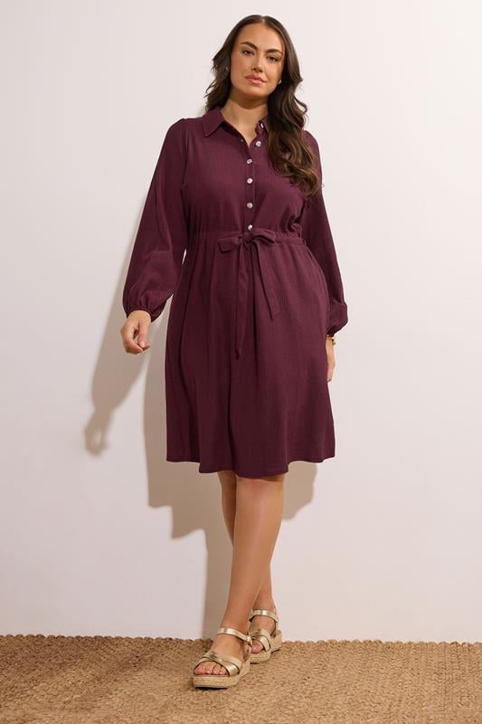Evans EVANS Curve Burgundy Red Belted Shirt Dress