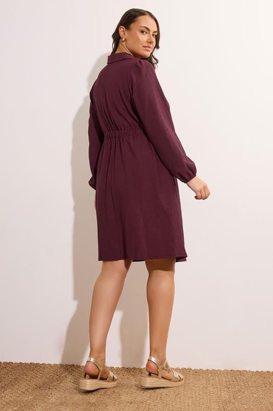 Evans EVANS Curve Burgundy Red Belted Shirt Dress