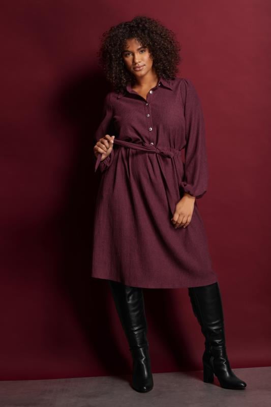 evans EVANS Curve Burgundy Red Belted Shirt Dress