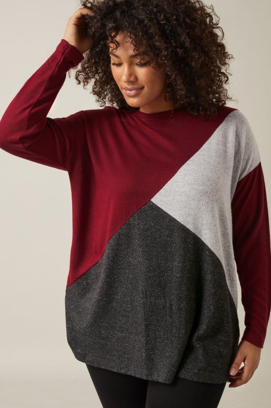 Evans EVANS Curve Burgundy Red Colourblock Jumper