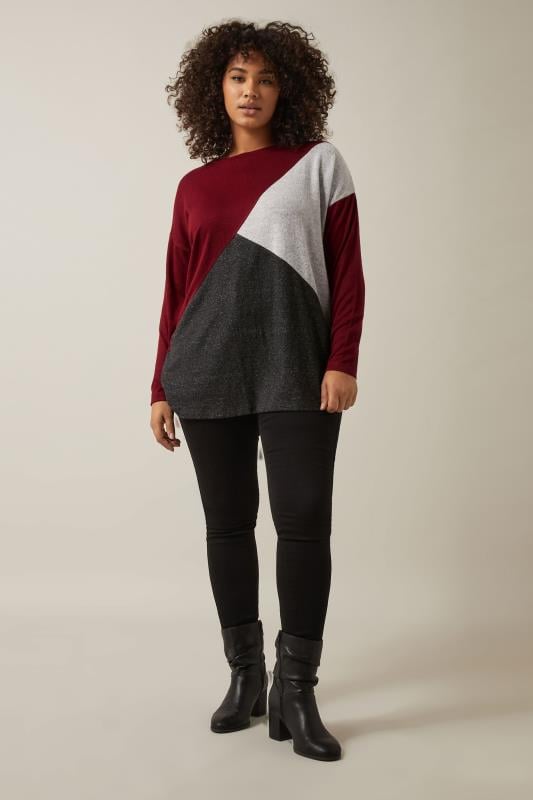 Evans EVANS Curve Burgundy Red Colourblock Jumper