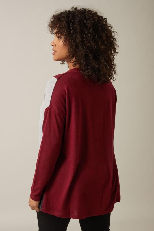 Evans EVANS Curve Burgundy Red Colourblock Jumper