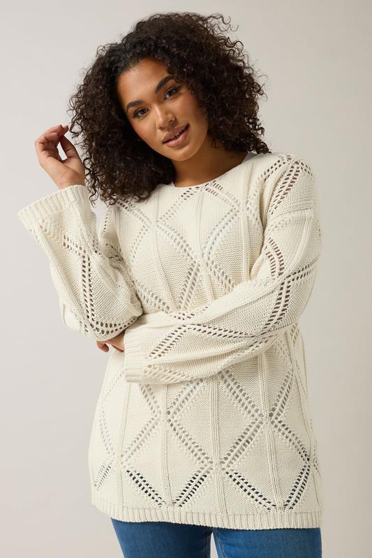 Evans EVANS Curve Cream Diamond Pointelle Jumper