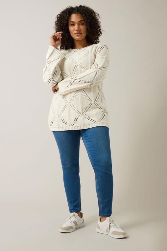 Evans EVANS Curve Cream Diamond Pointelle Jumper