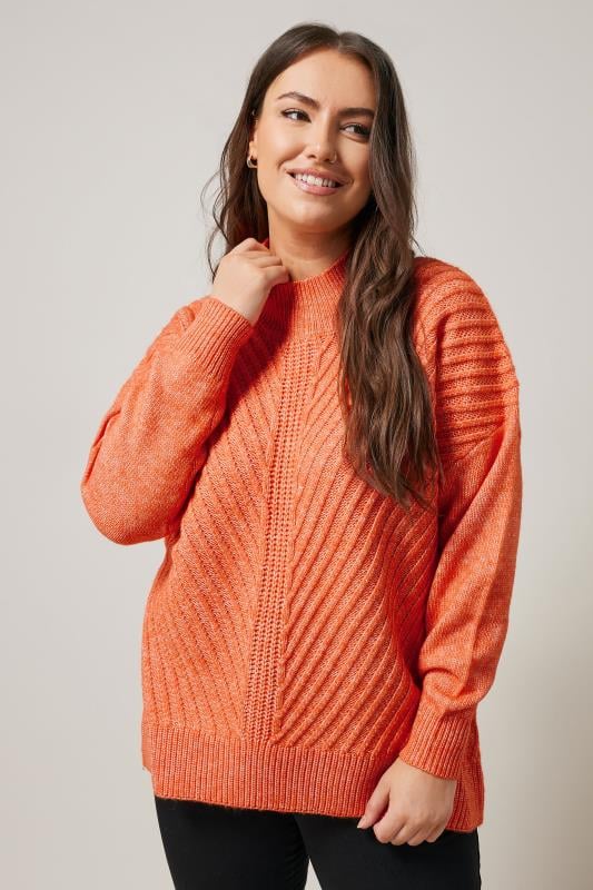 Evans EVANS Curve Orange High Neck Knitted Jumper